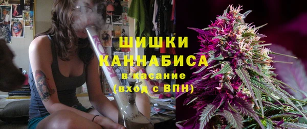 spice Бердск