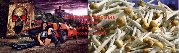 ешки Куйбышев