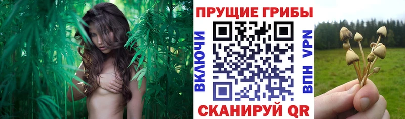 Галлюциногенные грибы мухоморы Фёдоровский