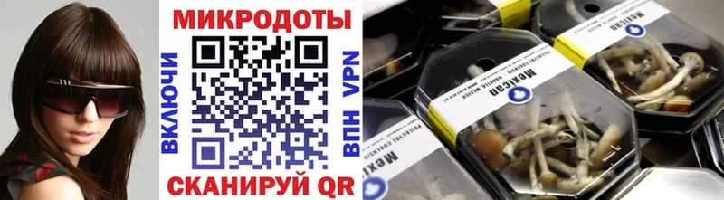 Галлюциногенные грибы прущие грибы  Фёдоровский 